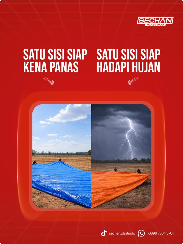 artboard 7